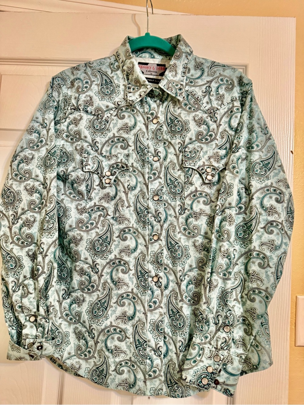Paisley Print Long-Sleeve Button-Down Shirt in Light Teal